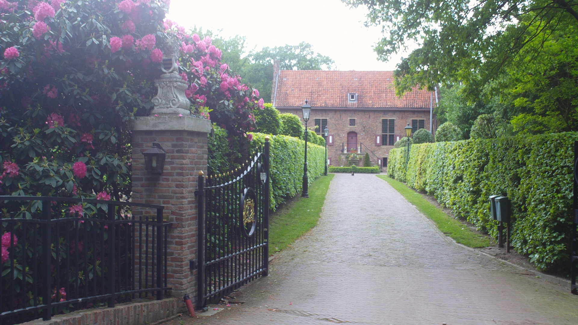 2012 HWK 065.jpg